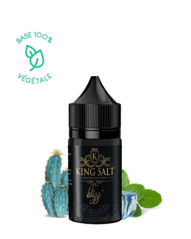 e-liquide-king-salt-frais-blizz-menthe-glaciale-cactus-50-50-20-ml-0-mg BLIZZ - KING SALT 20ML – Image 1